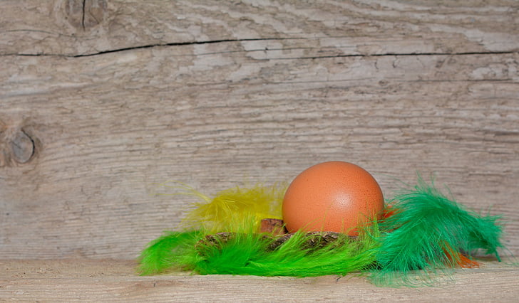 Fondo, huevo, pluma, plumas de colores, madera, texto dom, Semana Santa