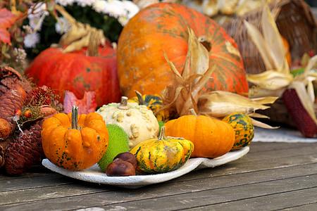 Outono, mordida de estilo, decoração, produtos hortícolas, colheita, decoração de outono, abóboras decorativas