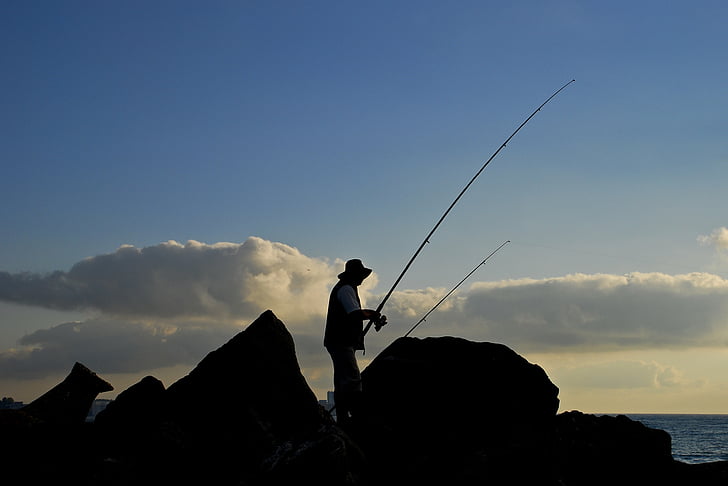 pesca, l'aigua, natura, pescador, l'estiu, home, vacances