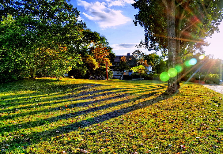meadow, trees, shadow, hdr, drama, lensflare, park