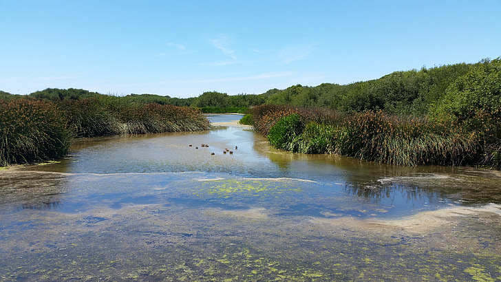 lagoon, lake, nature