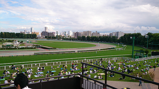 Racecourse, pacuan kuda, kuda, perjudian
