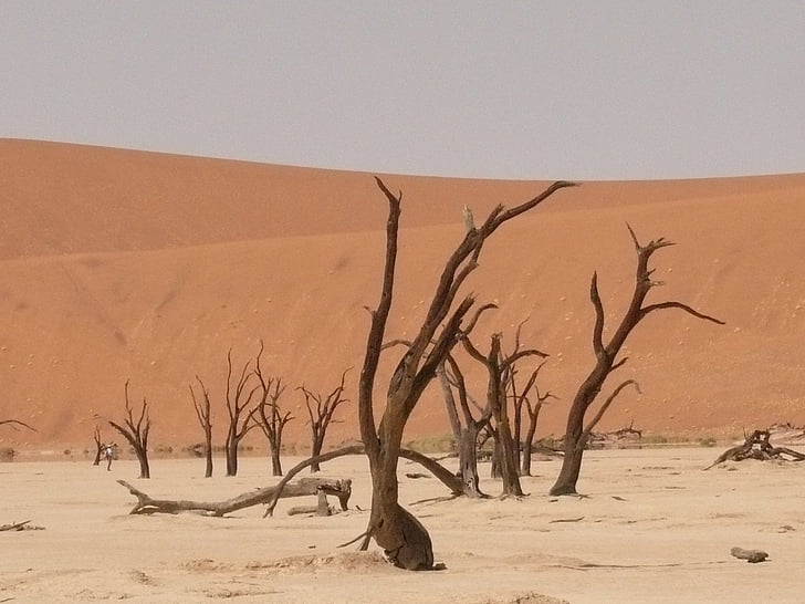 Deadvlei, Sahara, Dead vlei, Namibie, sucho, písek, Duna
