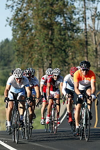 cyclists, riders, sport, biking, cycle, action, landscape