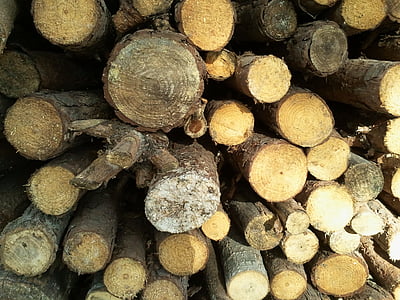 puit, palgid, loodus, töötlemata, taust, tekstuur, puit - materjal