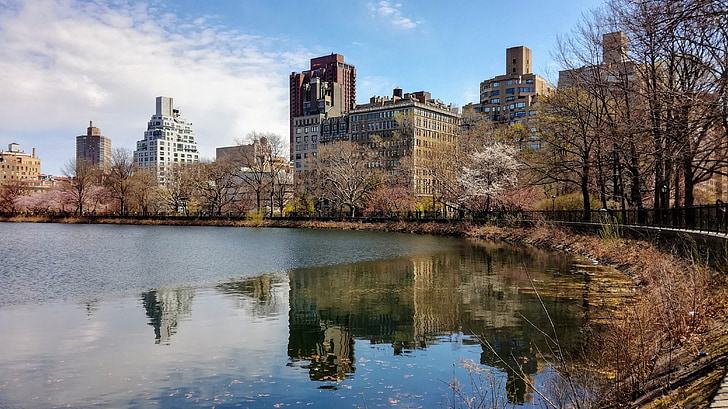 reservoir, Jacqueline, Kennedy, Onassis, water, reflectie, New york