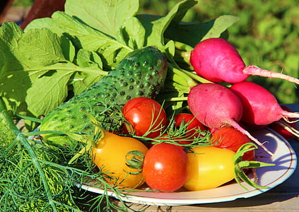 продукти харчування, помідори, овочі, зелені, харчування, плита, червоний