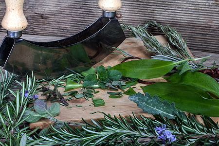 bilje, biljka nož, Rezanje ploča, biljka za ljuljanje, Kulinarski bilje