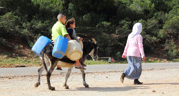 Osel, jízda na koni, špatné, cesta, Afrika, chudoba, Tunisko