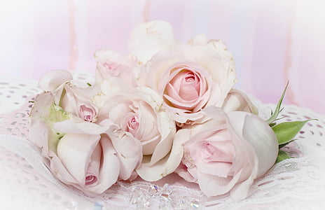 Троянди, романтичний, фоновому режимі, рожевий, сутінкового рожевий, Вінтаж, пошарпаний шик