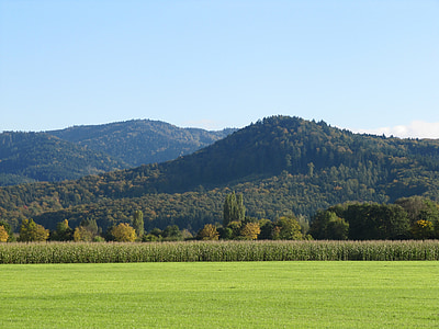 Denzlingen, im Herbst Beginn, Wald, Landschaft, Kornfeld