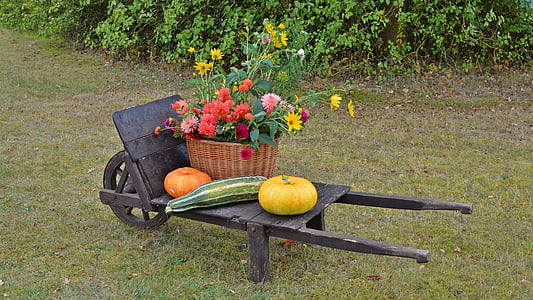 acción de gracias, decoración, Fiesta de la vendimia, calabaza, jardín, otoño, calabaza