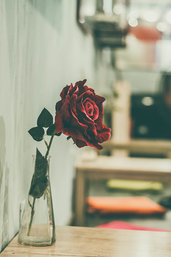 red, roses, flower, glass, vase, wooden, table