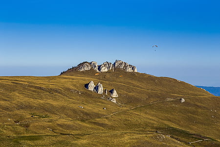 grön, blå, Sky, Mountain, Bucovina, Rumänien, stor grupp av djur