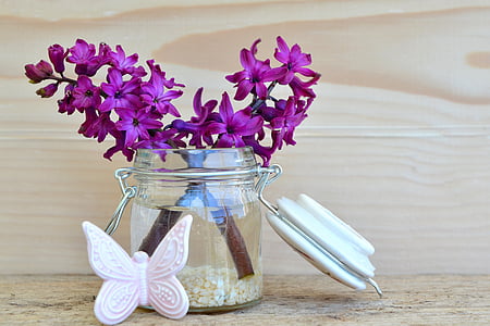 hyacinth, flower, blossom, bloom, fragrant flower, spring flower, purple
