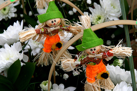puķe, Scarecrow, Pavasaris