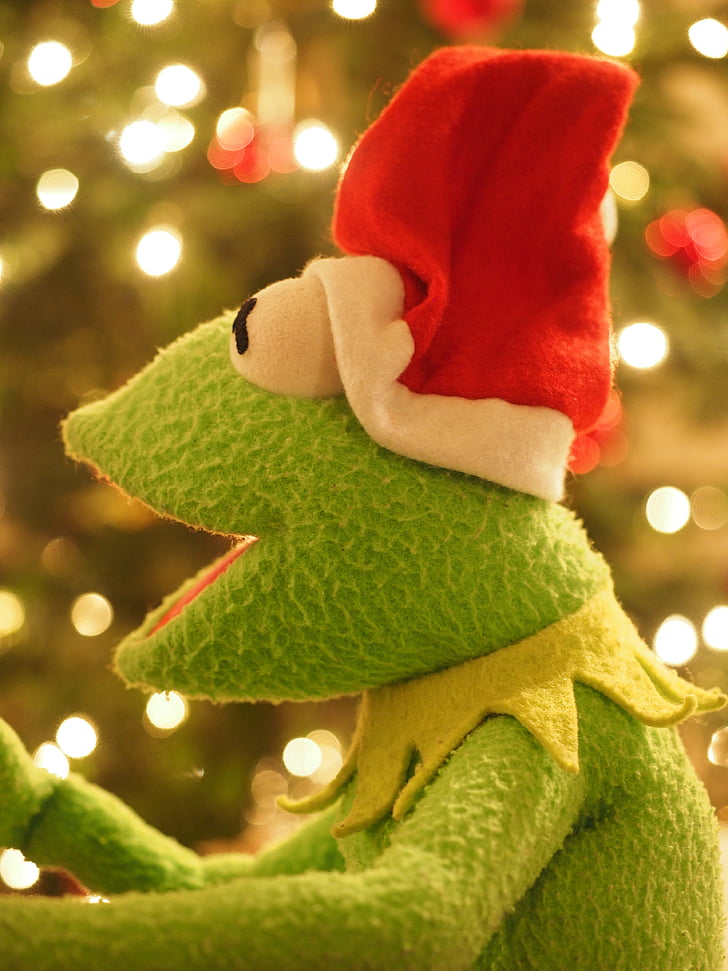 kermit, frog, christmas frog, christmas, santa claus, cheerful, funny