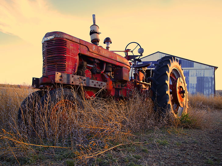 traktor, landbrug, maskine, landdistrikter, landbrug, pløjning, udstyr