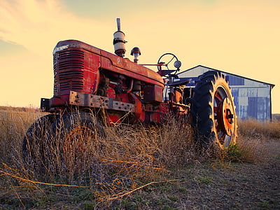 traktor, jordbruk, maskin, landsbygdens, jordbruk, plöjning, utrustning