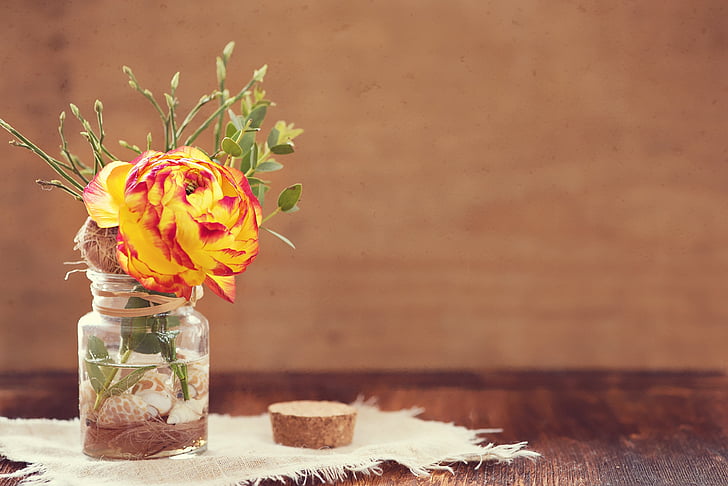 Blume, Ranunkeln, rot gelb, Vase, Glas, Deko, Dekoration