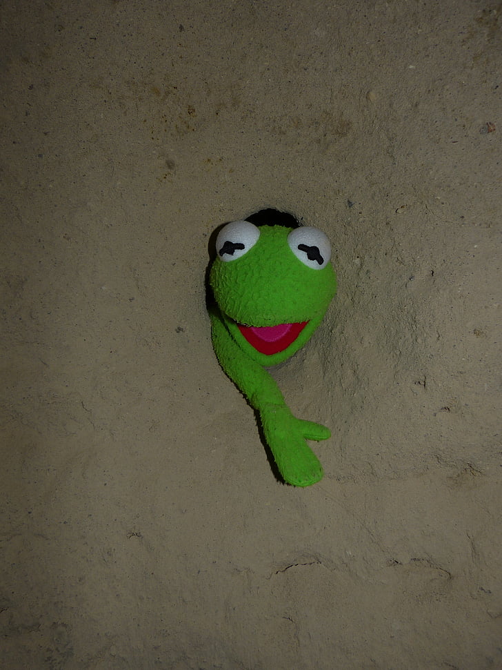 kermit, frog, green, wall, hole, caught, stone