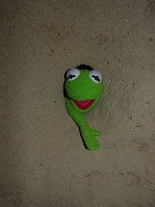 Kermit, varde, zaļa, sienas, caurums, nozvejotas, akmens