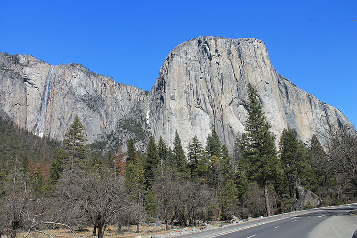 El capitan, Yosemite, pohon, Taman, California, Nasional, pemandangan