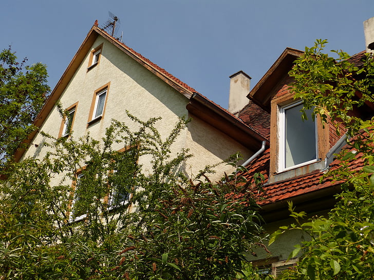 gable, gaupe, home, building, window, roof, plant