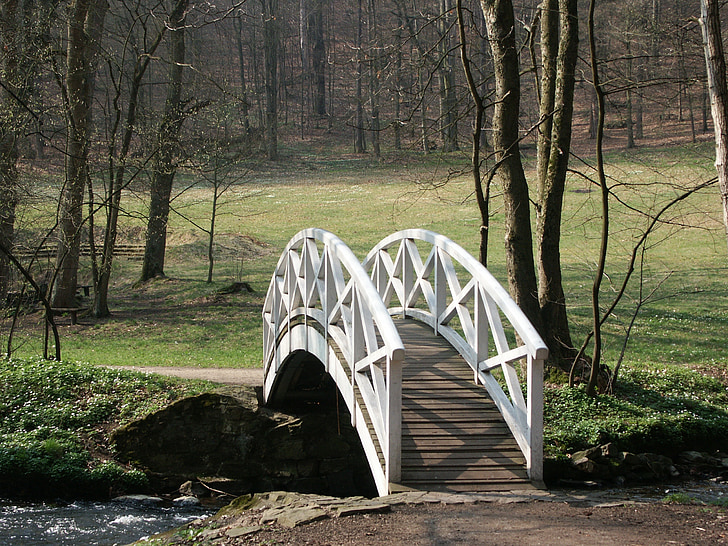 Jembatan, Taman, musim gugur, Bach