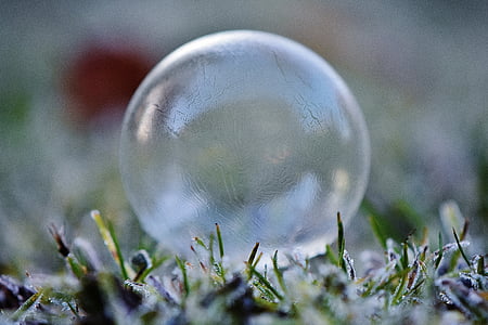 soap bubble, frozen, winter, frozen bubble, cold, wintry, nature