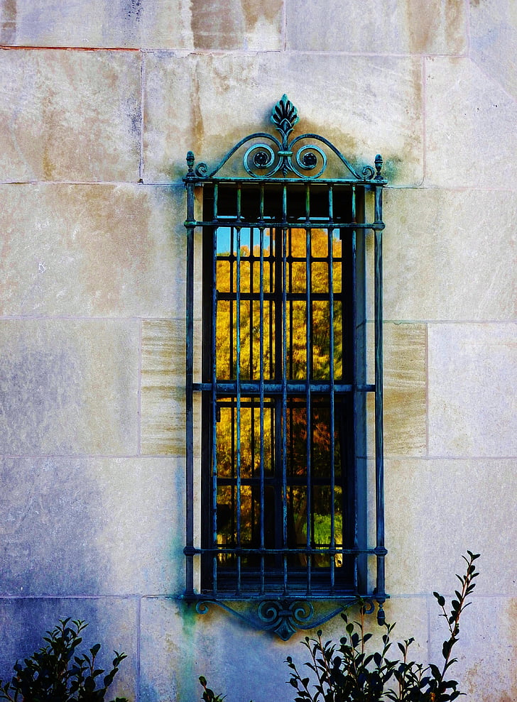 παράθυρο, δέντρα, πτώση, το φθινόπωρο, αρχιτεκτονική, παλιά, Ευρώπη