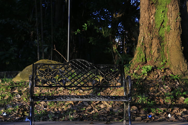bank, tree, nostalgia, on, peace