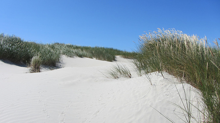 plage, dune, mer du Nord, Nordfriesland, mer Baltique, sable, été