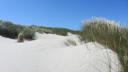 strand, Duin, Noordzee, district Noord-Friesland, Baltische Zee, zand, zomer