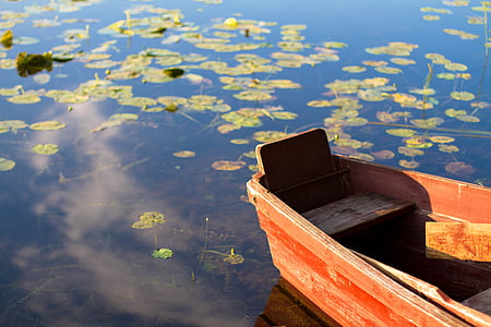 boat, lake, water, water lily, nautical vessel, reflection, transportation