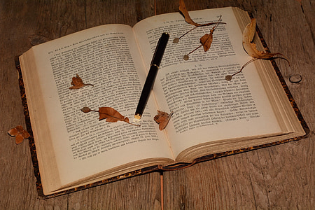knjiga, pisave, stari, pero, lesa, blizu