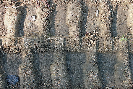 impronte digitali, sabbia, natura, Marco, tracce di pneumatici, traccia, tracce