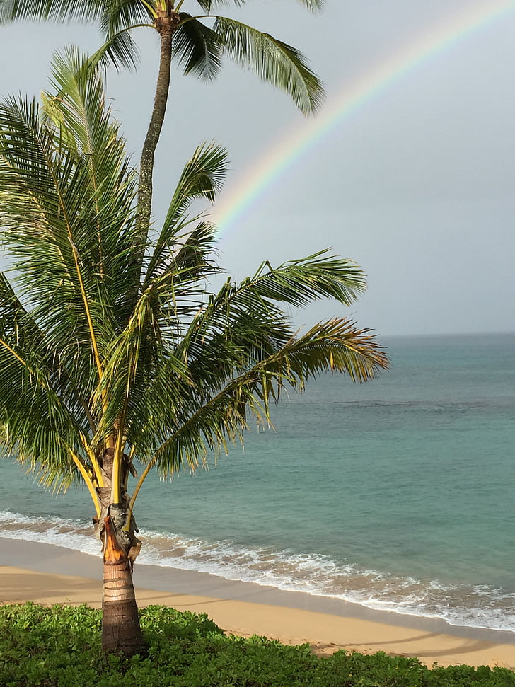 Hawaii, Maui, regenboog, zee, natuur, water, strand