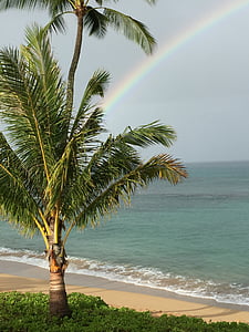 ハワイ, マウイ島, 虹, 海, 自然, 水, ビーチ