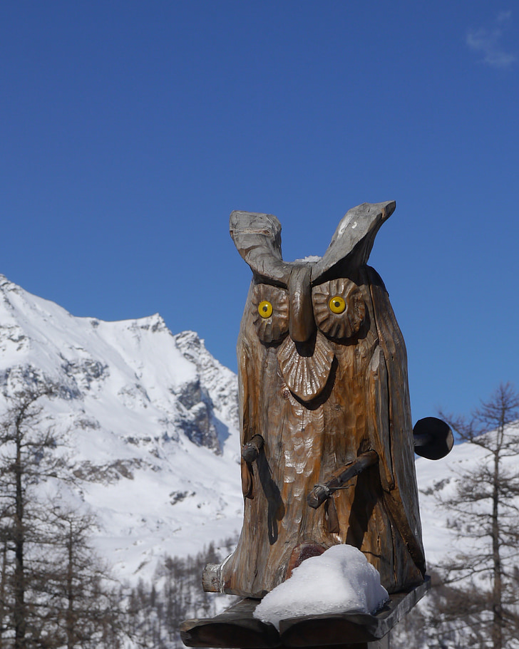 Pöllö, lumi, Italia
