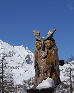 baykuş, kar, İtalya