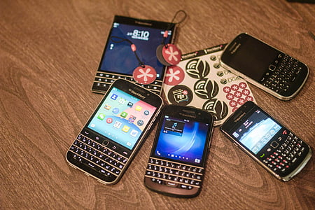 黑莓, 数码尾, 小红花, 移动, 技术, 设备, 移动电话