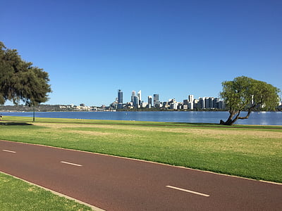 Perth, hattyú, folyó, Ausztrália, nyugati, város, Skyline