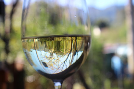 víno, bílé víno, sklo, sklenice na víno, alkohol, nápoj, červené víno
