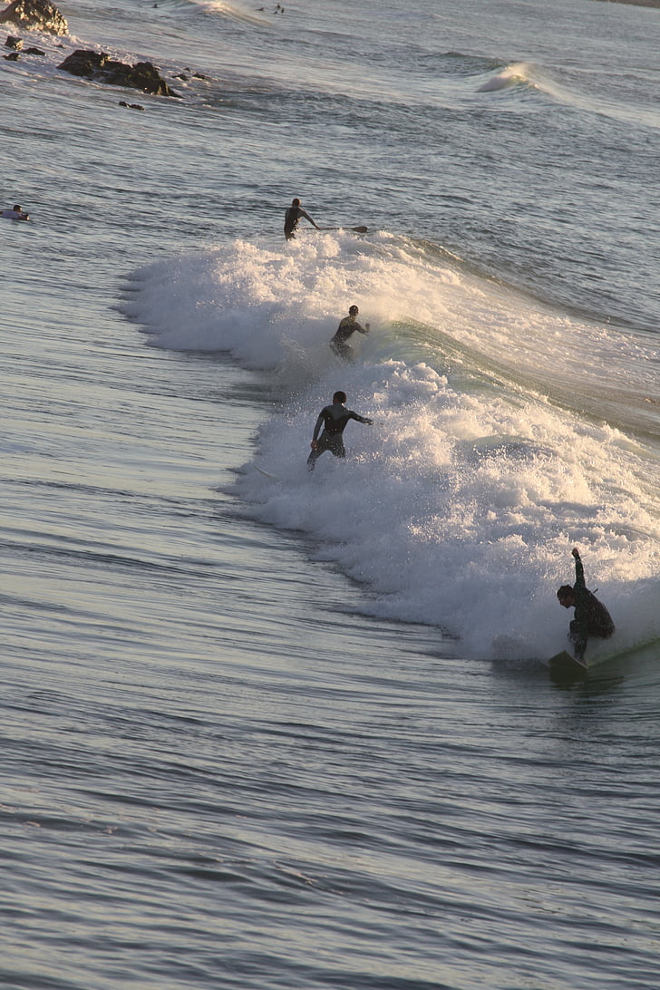 Surf, Biarritz, våg, sommar, Frankrike