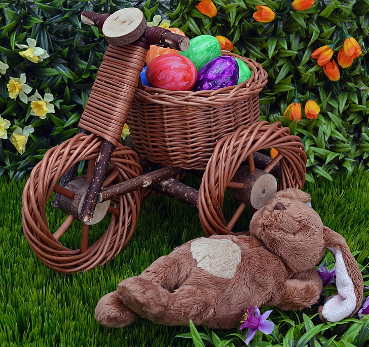 Hare, påske bunny, æg, påske, påskeæg, cykel, Sjov