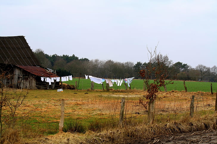 farm, hof, clothes line, fence, meadow, field, old house