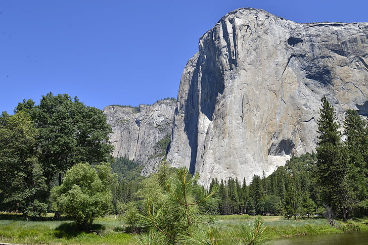 Yosemite, Kalifornie, Hora, Národní, Les, Amerika, malebný