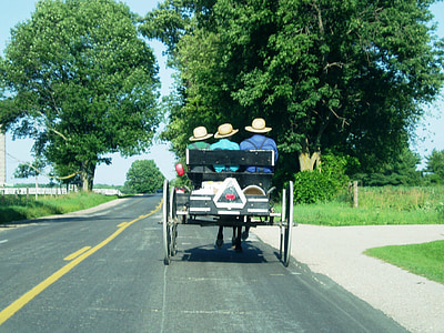 Amish, transport, granja, país, terres de conreu, paisatge, cavall