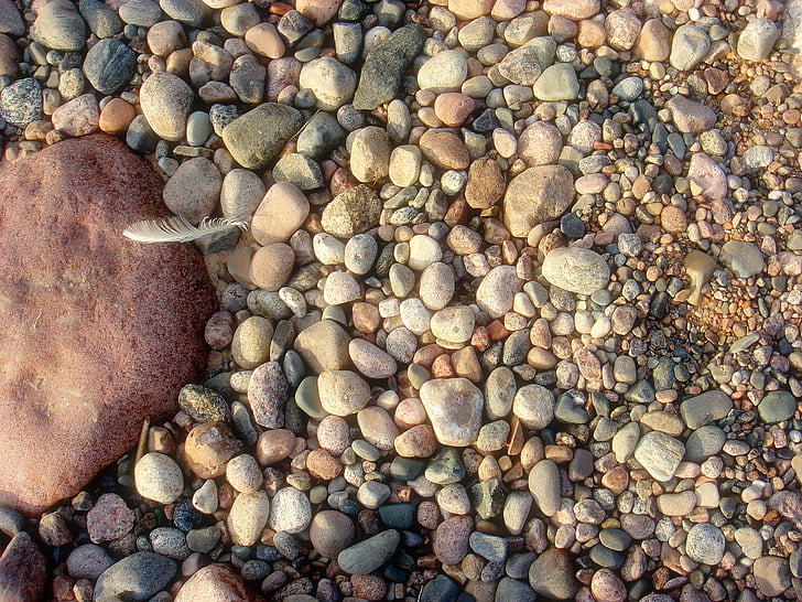 Costa, Báltico, mar, pedras, praia, terreno, superfície